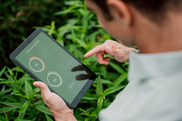 Countryman using tablet to check plantation