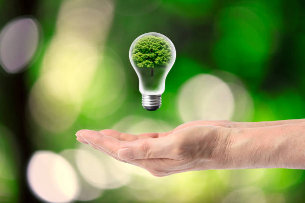 Energy Security
