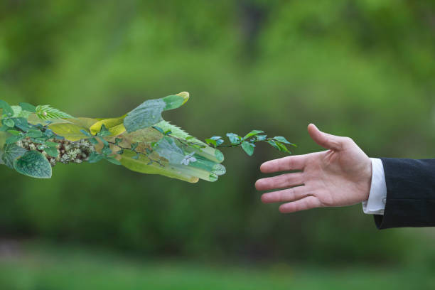 Hand of a businessman reach out towards hand of the nature