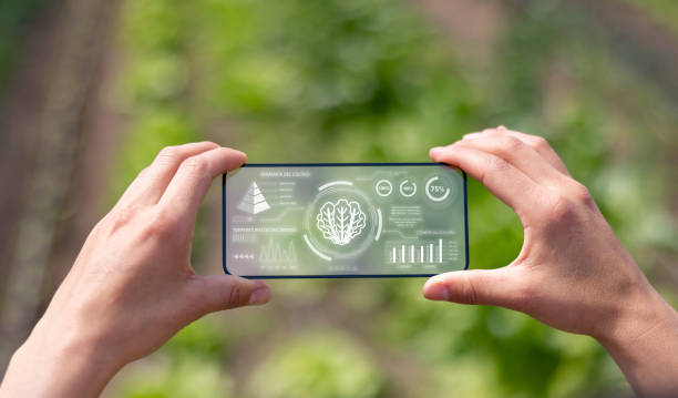 Close-up on a Latin American farmer using technology to improve his agricultural business