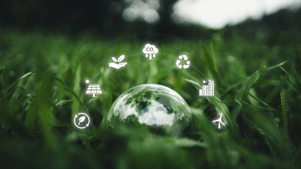 Globe on the green grass in the forest, environmental concept and icon Environmental, renewable, sustainable energy, CO2, net zero, and ESG concept